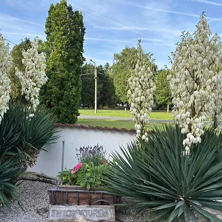 Apartment In Balatonbereny - Balaton 18046 شقة *